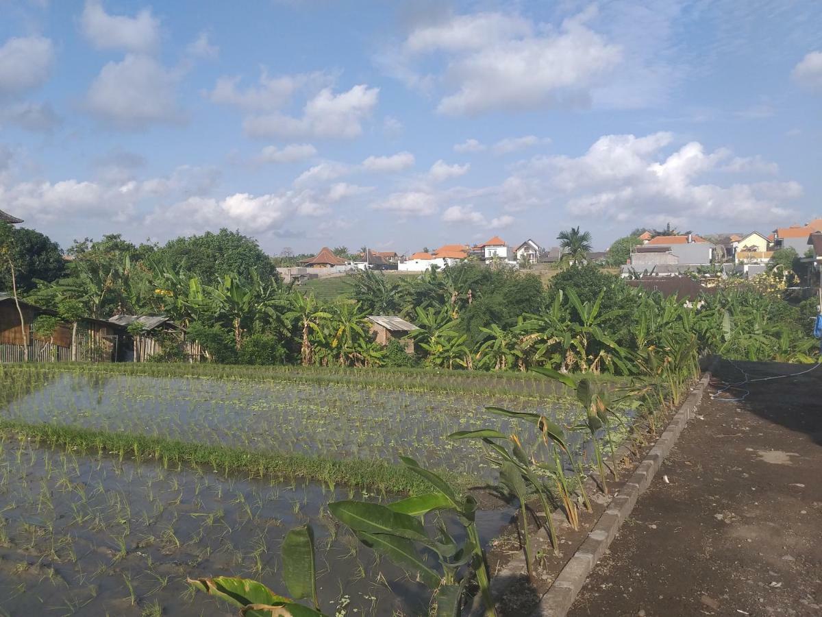 Pd Bali Guesthouse 캉구 외부 사진